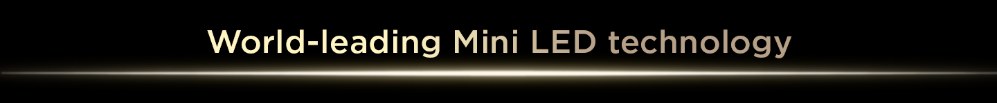 World leading Mini LED technology