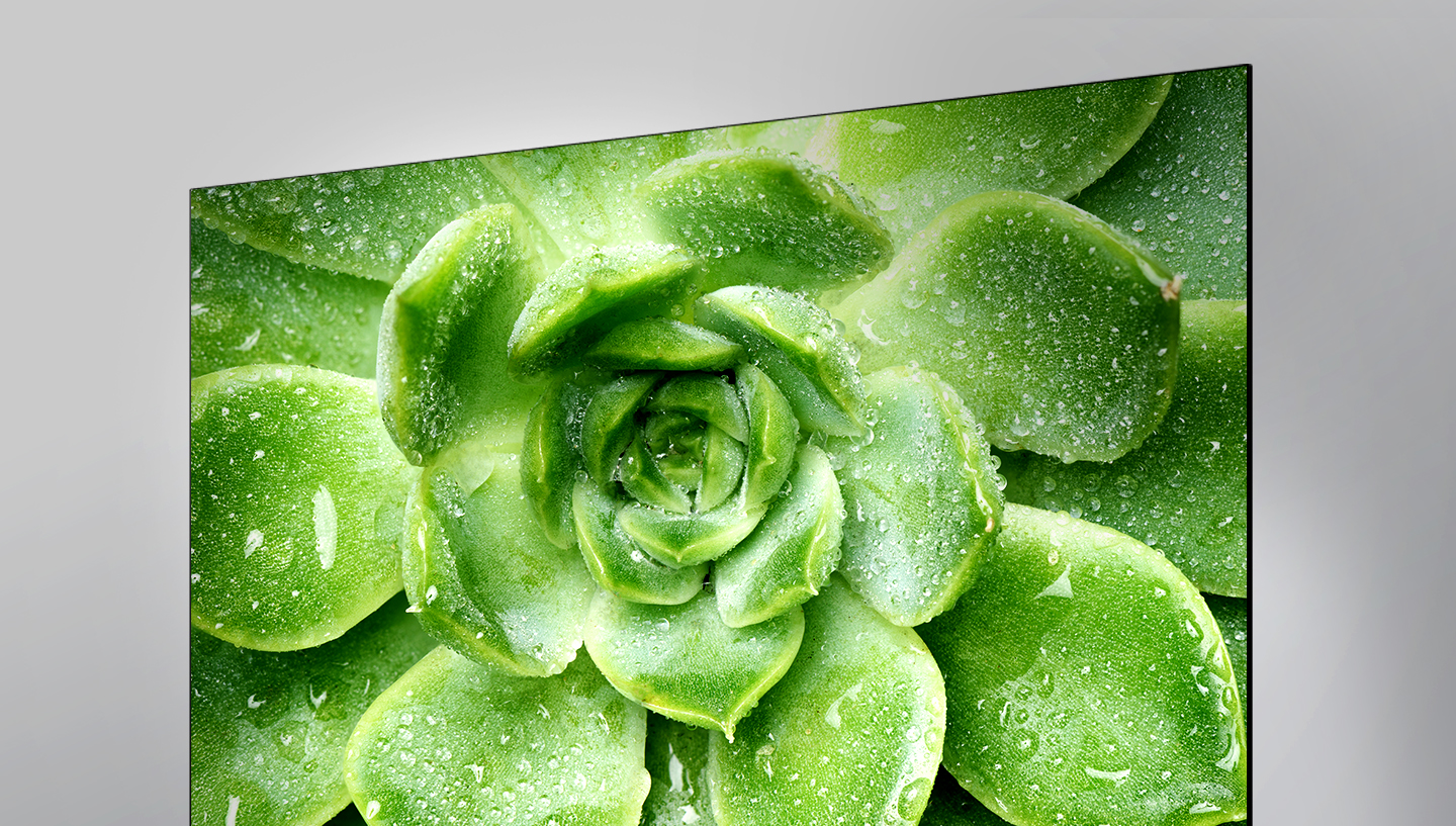 FullView Metal Bezel-less Design