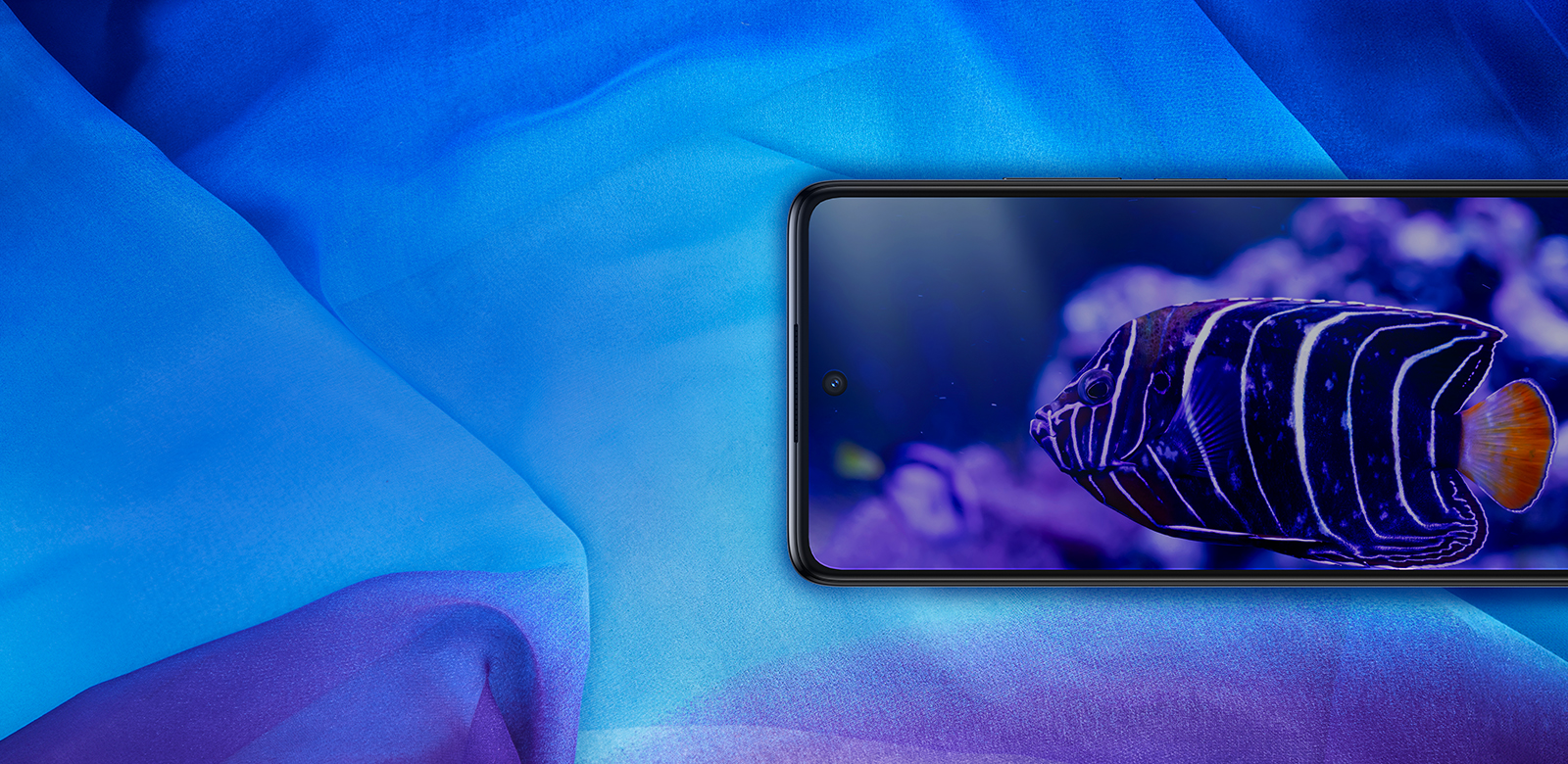 phone featuring immersive colors of underwater coral